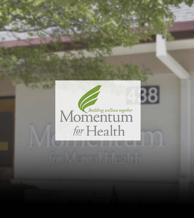 医疗产业成功案例: Momentum for Mental Health